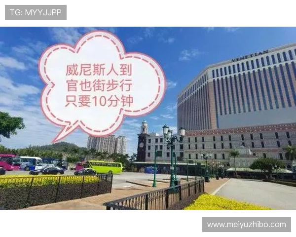 威尼斯澳门人赞助的网站：了解两地居民如何利用平台参与公益项目的具体方式